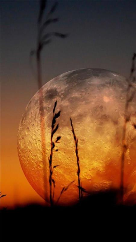 įspūdingos mėnulio pilnaties nuotrauka