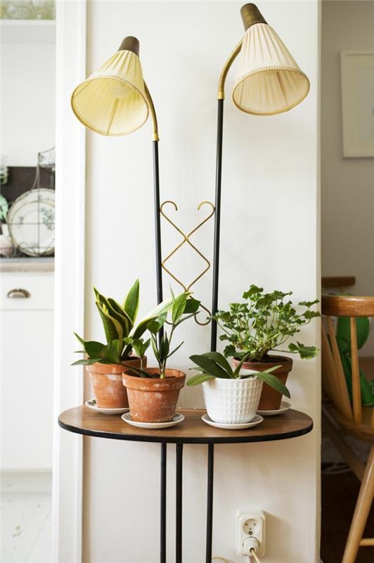 yay-şekilli-lamba-alinea-yer-lambası-oturma odası-yeşil-bitkiler-için-duvar-bej