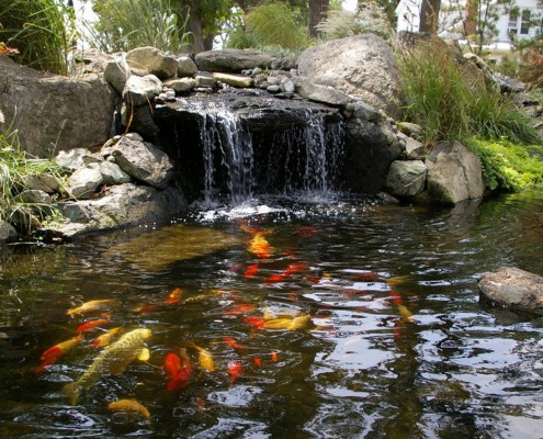 Un cuerpo de agua sin fauna - muerto