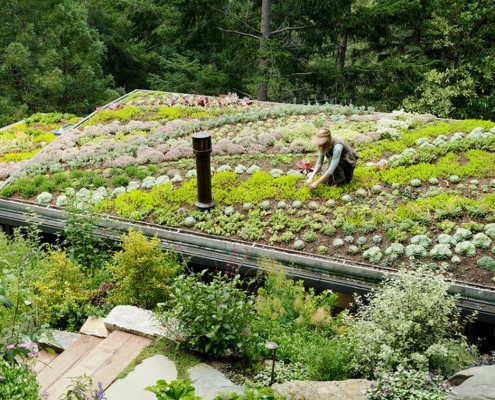 Canteiros de jardim como um elemento do projeto paisagístico