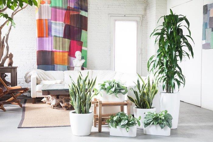 umetniška dekoracija dnevne sobe z originalnimi sobnimi rastlinami v belih lončkih, belim kavčem, tkano preprogo, steno iz bele opeke in barvno dekorativno ploščo