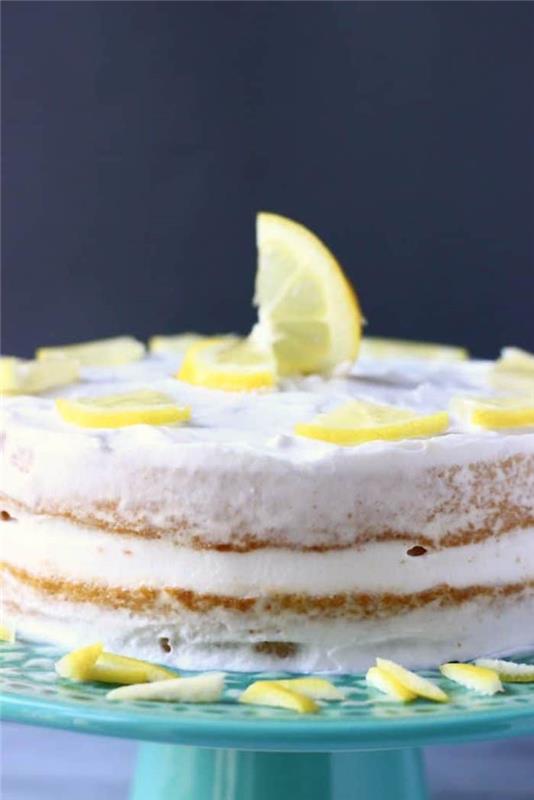 Enostavna in hitra limonina sladica otroška torta sove otroške torte čudovite preproste oblike