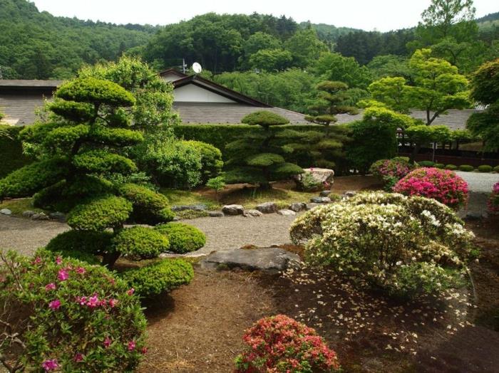 -japonski-zen-vrt-miniaturni-zen-vrt-japonska drevesa