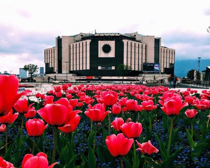 the-national-palace-of-culture-visit-sofia-what-to-visit-in-bulgaria