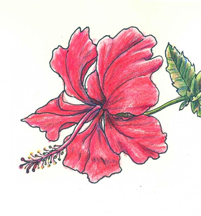 Rdeča roža z zelenimi listi, naučite se risati preprosto oblikovanje cvetlične tetovaže
