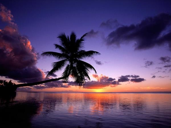 najlepše destinacije-na-svetu-palma-morje-sonce