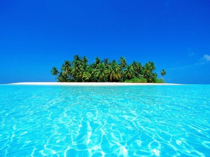 -maldivi-potovanja-maldivi-podnebje-maldivi-otoki-palmovi otoki