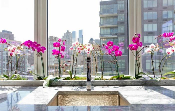 bele orhideje, kot originalni način dekoriranja okna