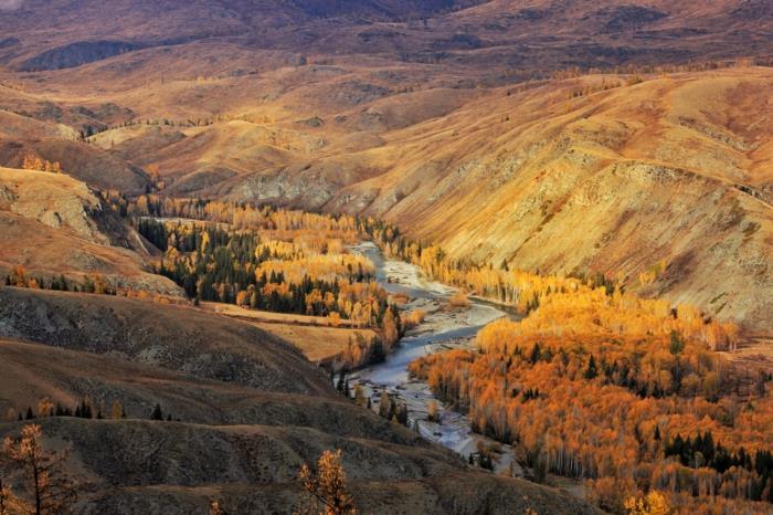 reka, ki teče v gori, jesensko ozadje, lepa pokrajina