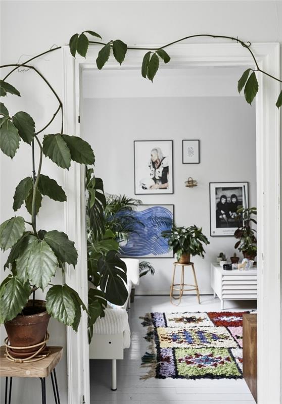 najlepše sobne rastline notranje oblikovanje sodoben boho skandinavski slog bela zofa pisana preproga