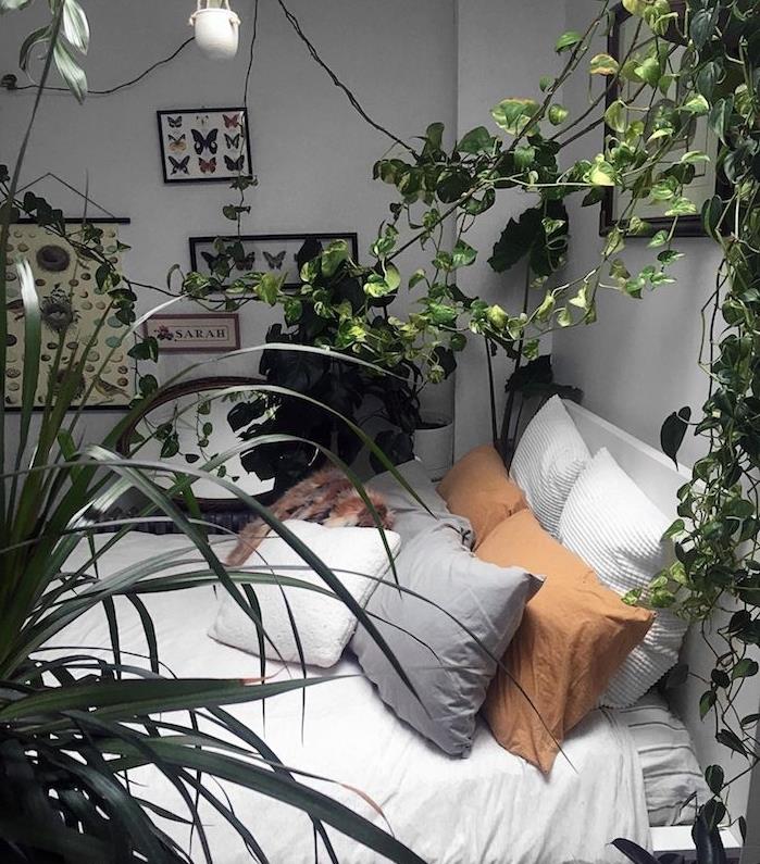 sobne plezalne rastline bršljana, beli posteljni bohemski šik duh z okrasnimi blazinami, stena iz botaničnih in zooloških okvirjev