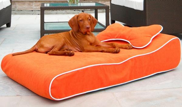 oranžinė pagalvėlė-šuns lova