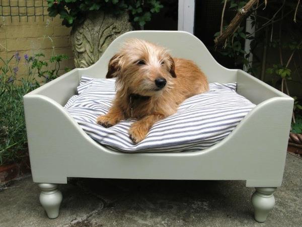 žavingas ir mielas šunų dizainas-šunų lova