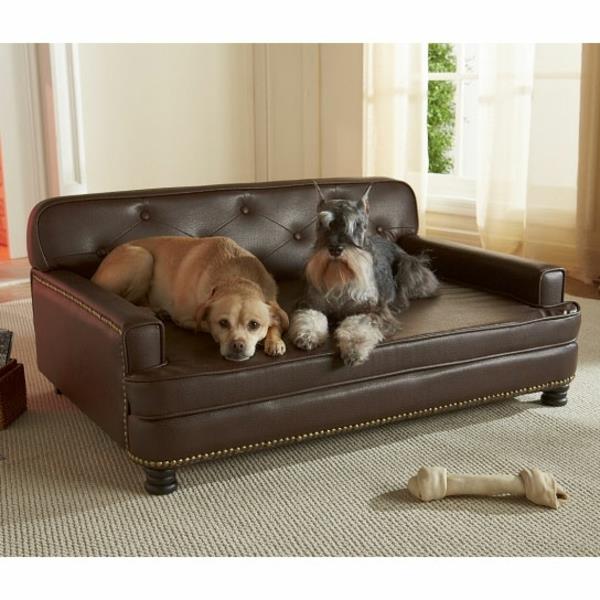 šunų lova-aristokratiškas-dizainas-sofa-lova