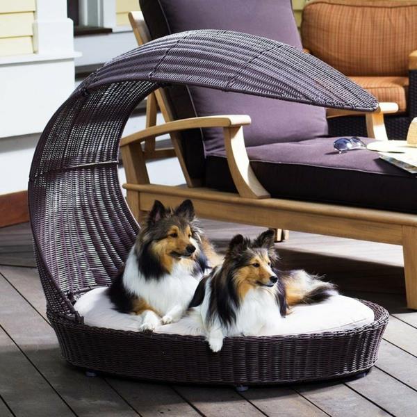 šuns-lovos-pintos lovos