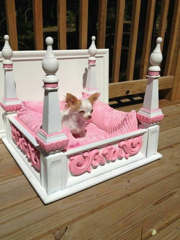 lova-šuniui-lova-princesei