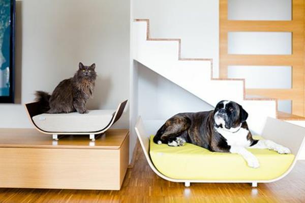 super-moderni-šuns lova