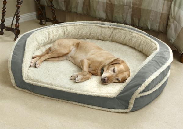 šunų lova-patogi lova