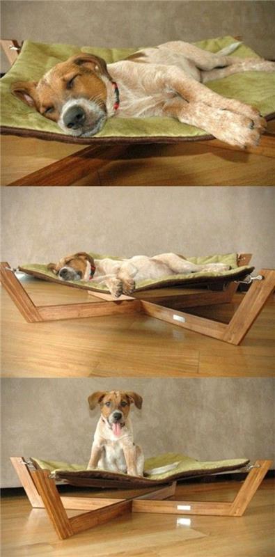 šuns lova-hamakas-lova