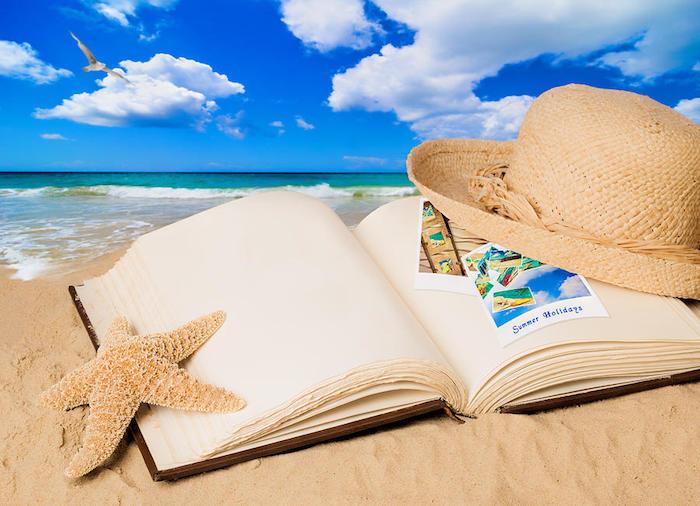 Kumsalda yaz tatili kitabı, uçan kuş, manzara duvar kağıdı, dünyamızın güzelliğini keşfedin