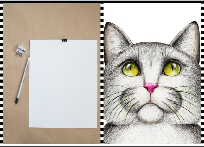 boş zamanını az malzeme ile meşgul etmek için yapılan manuel aktivite, basit bir kedi çizimi yapmak için hangi malzeme