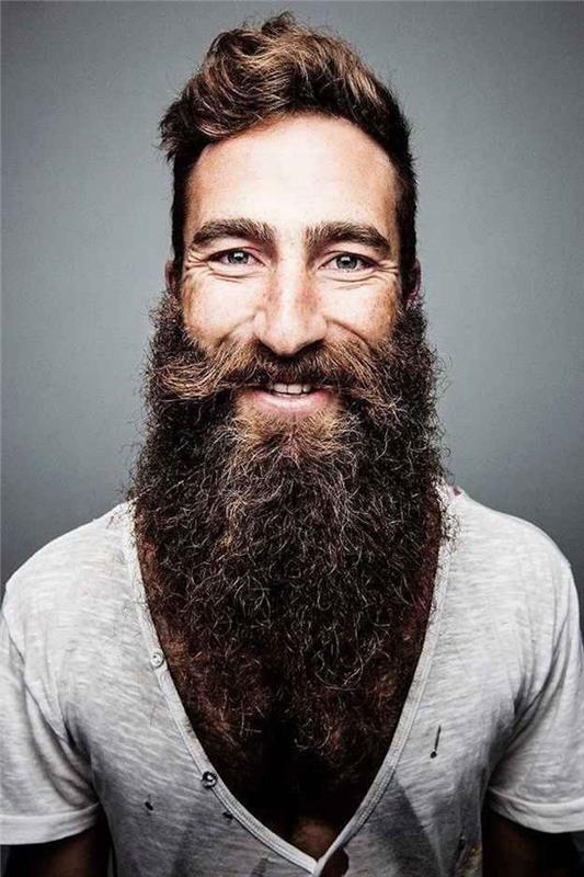 velika brada, odrezana v hipsterju