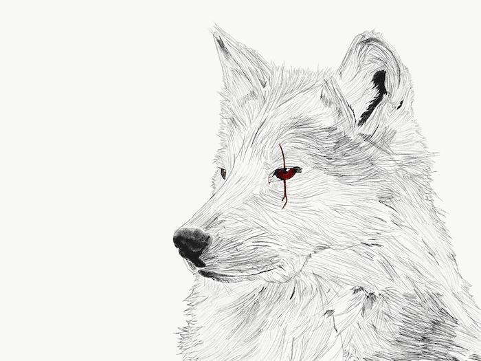 volk ​​atrice simbol vojne in besnosti, narišite grafično podobo z dotikom rdeče barve v očeh in oznako rdeče črte