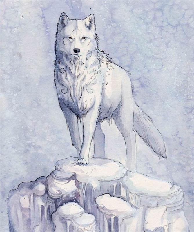 portret polarnega volka v beli barvi na ledeniškem kamnu in modro -belem ozadju, enostavno risanje
