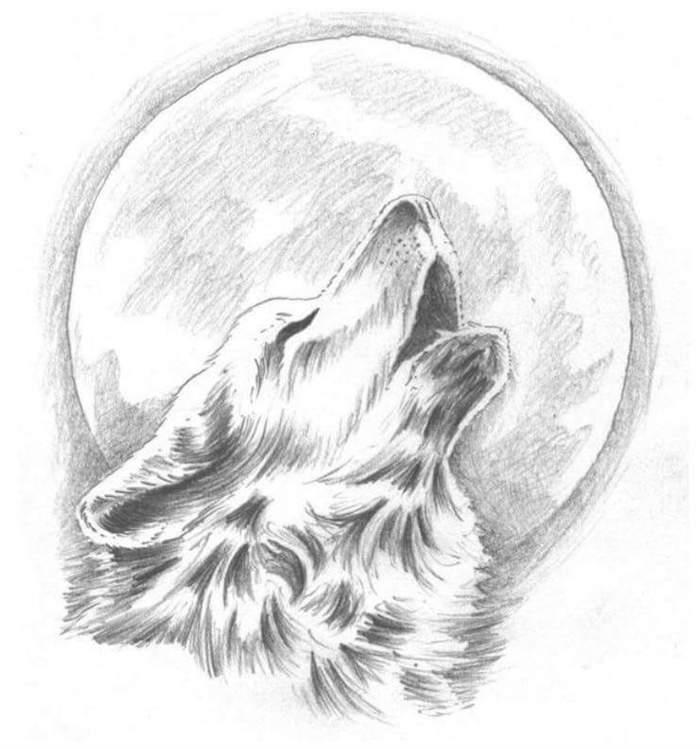 preprosta grafična risba z volkovim jokom v mesečini, kako enostavno risati s svinčnikom