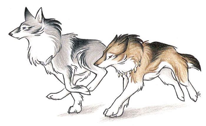 primer grafičnega oblikovanja s sivo in rjavo barvo volk in volčji par, simbol zvestobe