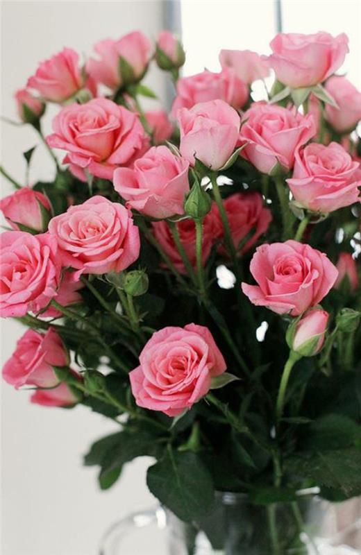 lep-šopek-vrtnic-cvetje-pomen-vrtnic-šopek-vrtnic-simbol rdeče vrtnice