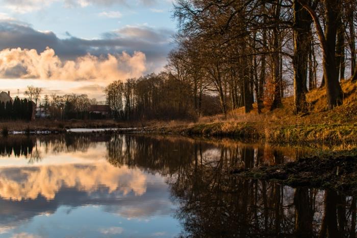 fotografija neba in potoka, gozdovi ob vodi, oblaki, jesen, sončni vzhod