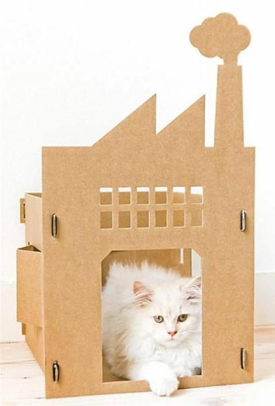 kartoninis kačių namelis, originali pilis ir graži balta katė