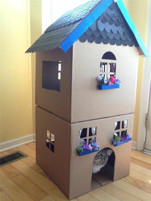 kartoninis kačių namelis, langų dėžės ir mėlynas stogas