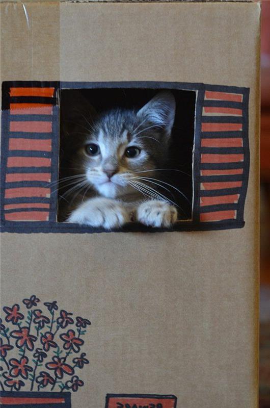 kartoninis kačių namelis, miela katė papuoštoje kartoninėje dėžėje
