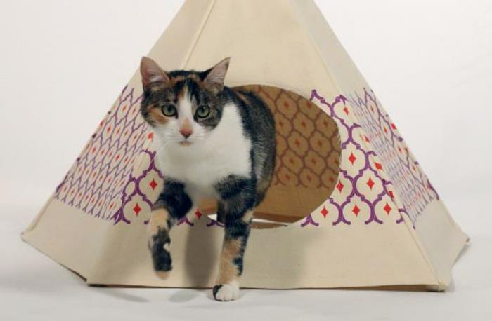 kartoninis kačių namelis, trikampis kačių lizdas