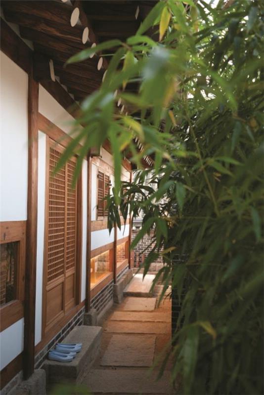 japonske hišne zelene rastline