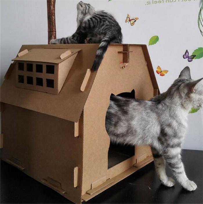 kartoninis kačių namelis, namuose žaidžia dvi katės