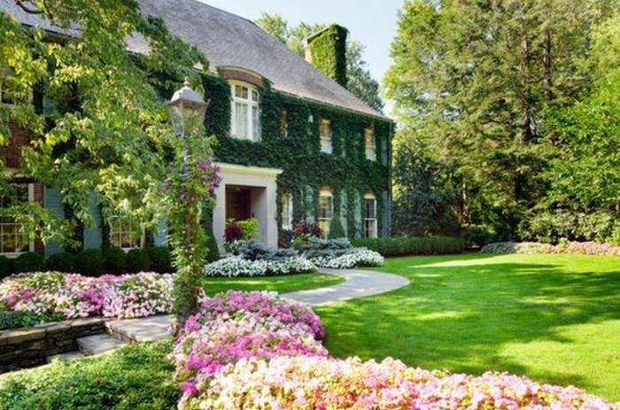 kaimiškas namas, apvyniotas gebenėmis, gėlių sala ir siena su baltomis ir rožinėmis gėlėmis, veja, sodo kraštovaizdžio idėja