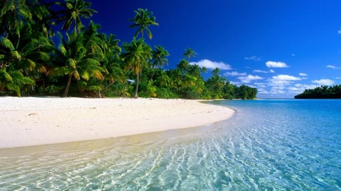 maldivi-plaža-hd-ozadje-za-namizje-ozadje-prenos-maldivi-plaža-slike-spremenjene velikosti