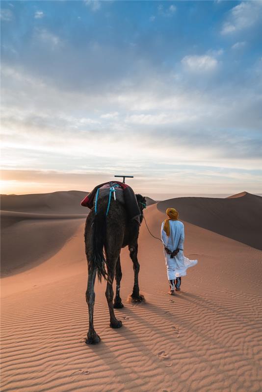 Maroko dromedarų rojaus vieta, fantastiškas kraštovaizdis, gražus vaizdas tapetams