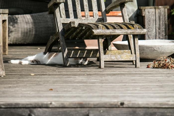 medinė kėdė, medinėje terasoje sėdinti katė, sena akmeninė kriauklė