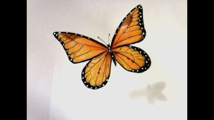 Spalvotas oranžinis drugelis, gražaus drugelio paveikslas, kurį reikia piešti paprastai ir spalvoti