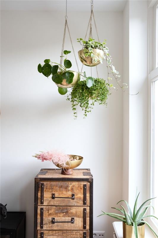 yeşil bitkilerle bir oda nasıl dekore edilir, altın ve altın zincirle boyanmış bir kap ile kendinizi yapmak için bir çiçek süspansiyonu örneği