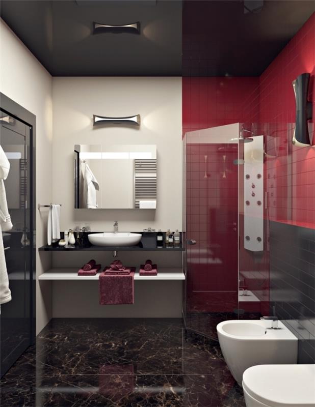 oblikujte majhno kopalnico v sodobnem dizajnu s črnim stropom in tlemi ter stenskim odsekom iz rdečih ploščic
