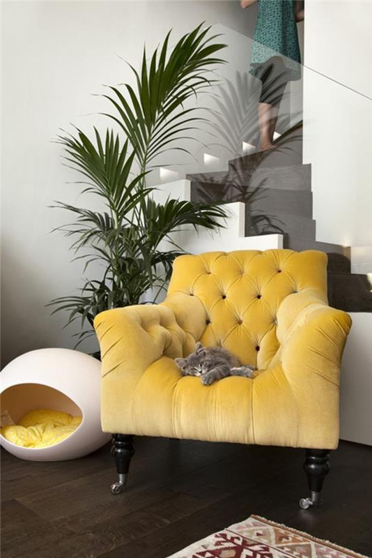 baroc baldai didelis geltonas fotelis su pilka katė jame ir delnu šalia