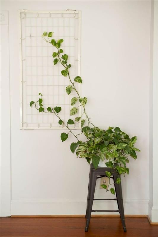 antracitno sivo blato pohištvo bela kovinska mreža lesena talna obloga deco rastlina pestro listje