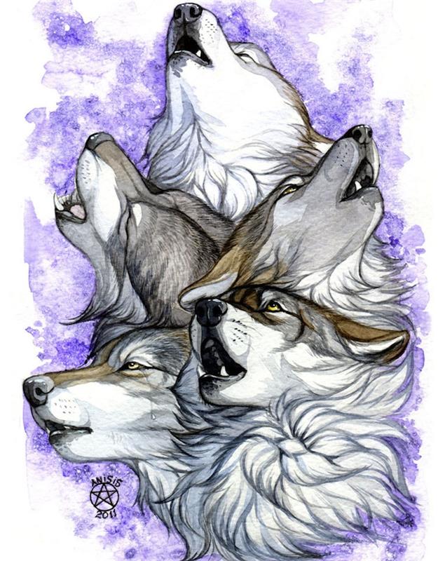 risba več glav zavijajočih volkov na akvarelnem ozadju v vijolični barvi