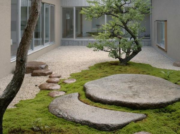 mini japonų sodas-vienas medis ir du dideli akmenys