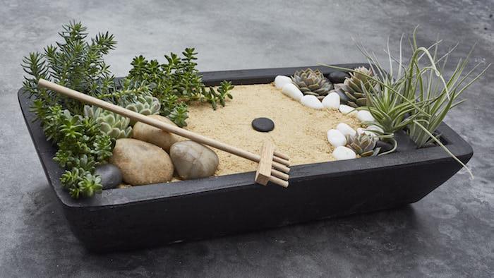okrasni miniaturni zen vrt s peskom in mini rastlinami ter grablje